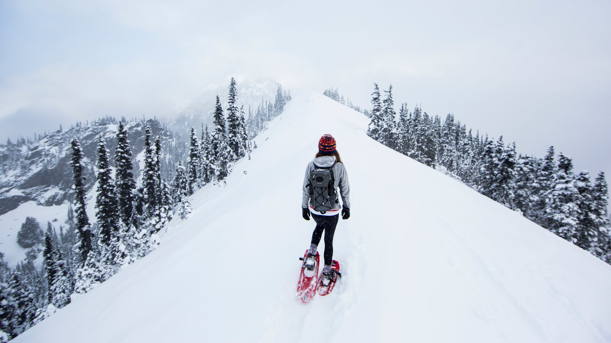 Shoeshoeing at Hurricane Ridge in Olympic National Park, Port Angeles, Washington State