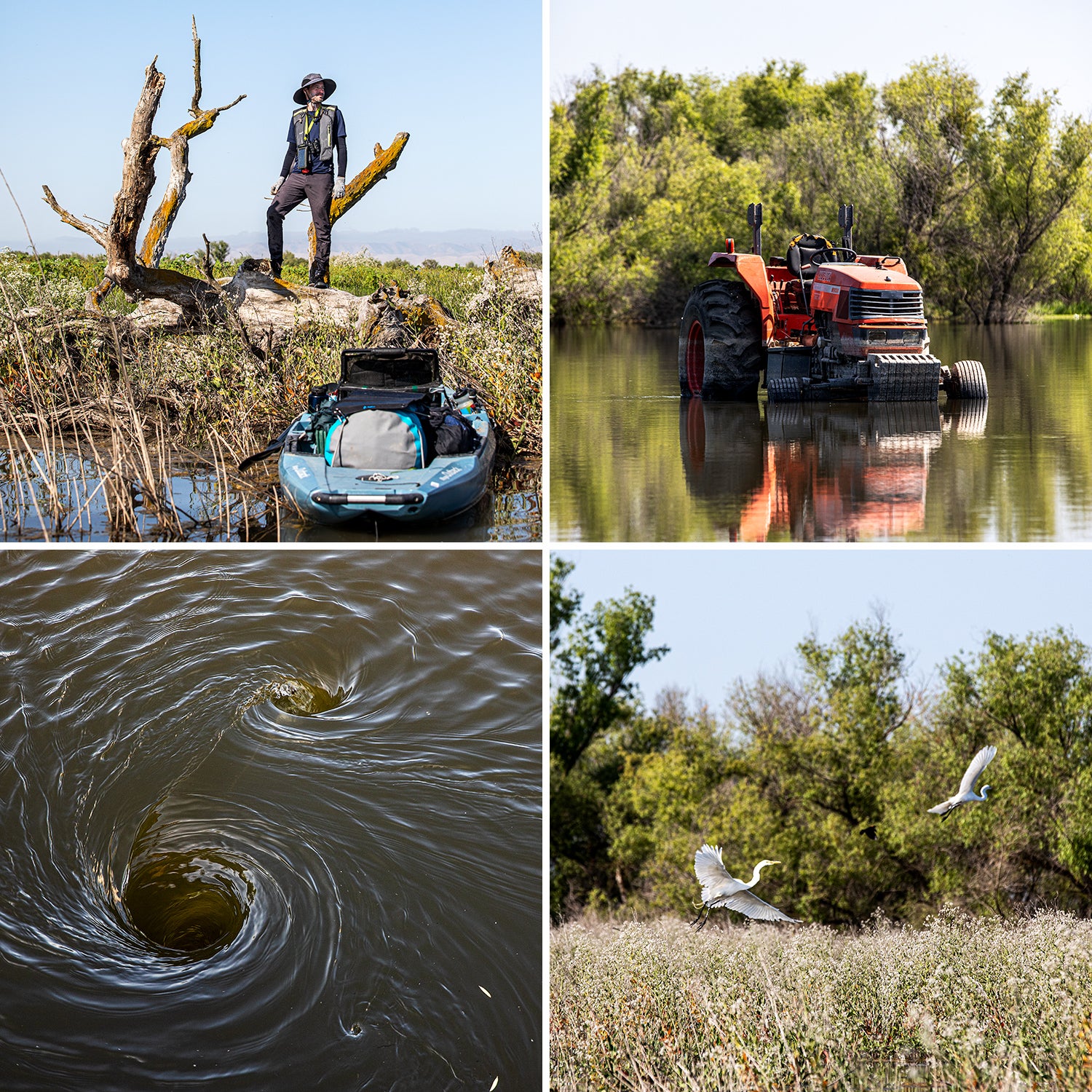 My Wild, Wet, and (Sometimes) Miserable Paddling Trip Through the Heart of  California