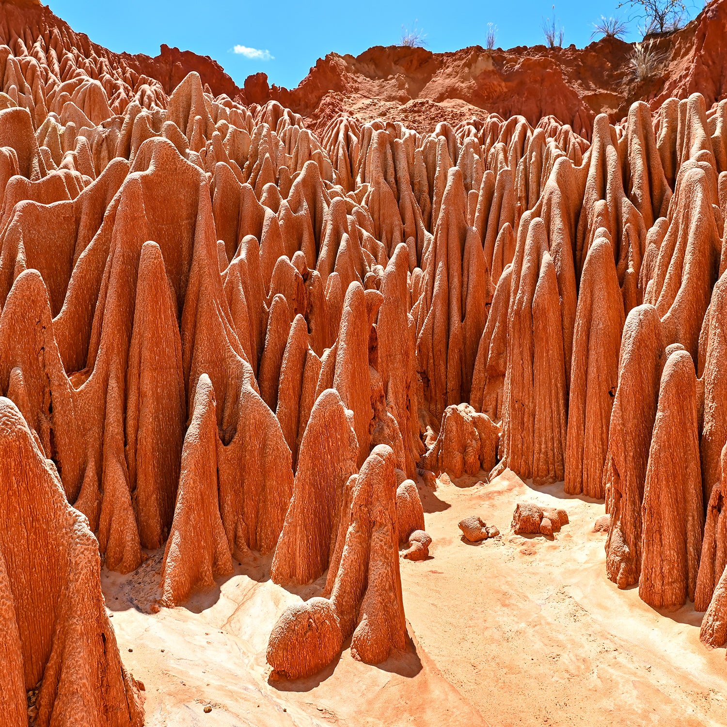 The tsingy pinnacles of Madagascar