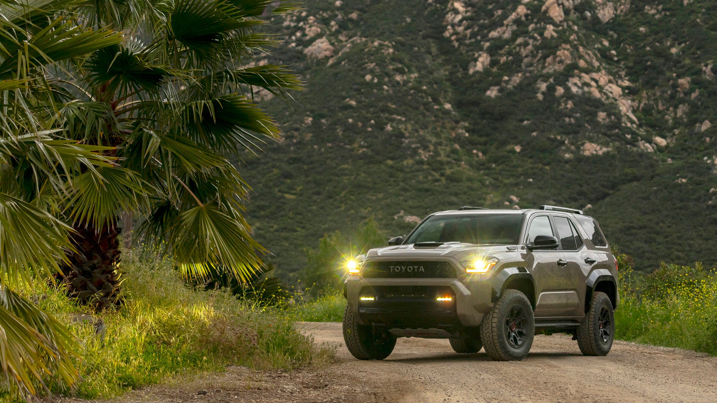 2025 Toyota 4Runner