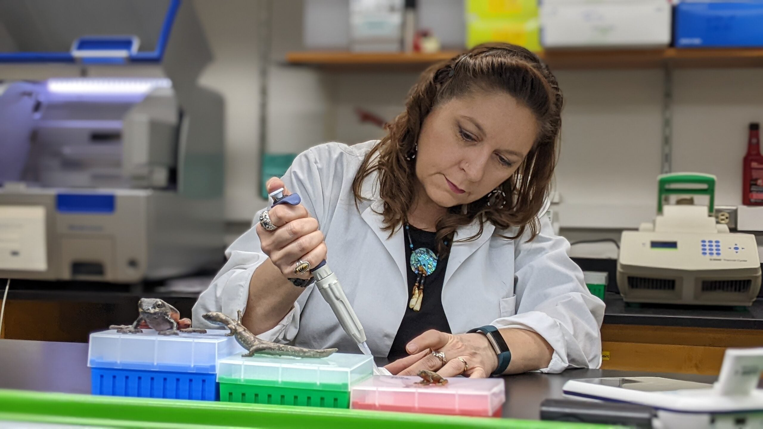 Laura Hauck extracts DNA from timber wood samples.