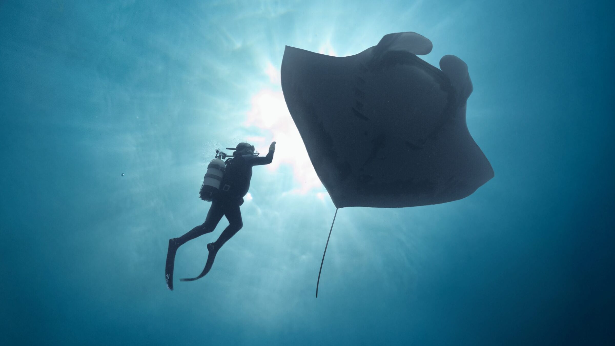 The Last Dive documentary film tells how a friendship with a giant Pacific manta ray turned an ex-Hells Angel sailor into a conservationist.