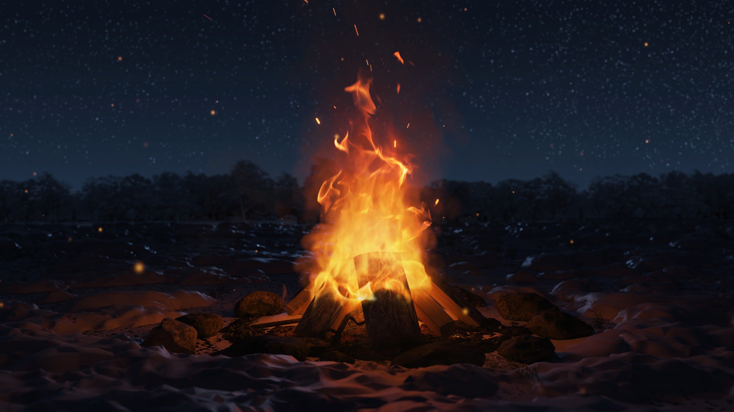 campfire on beach at night