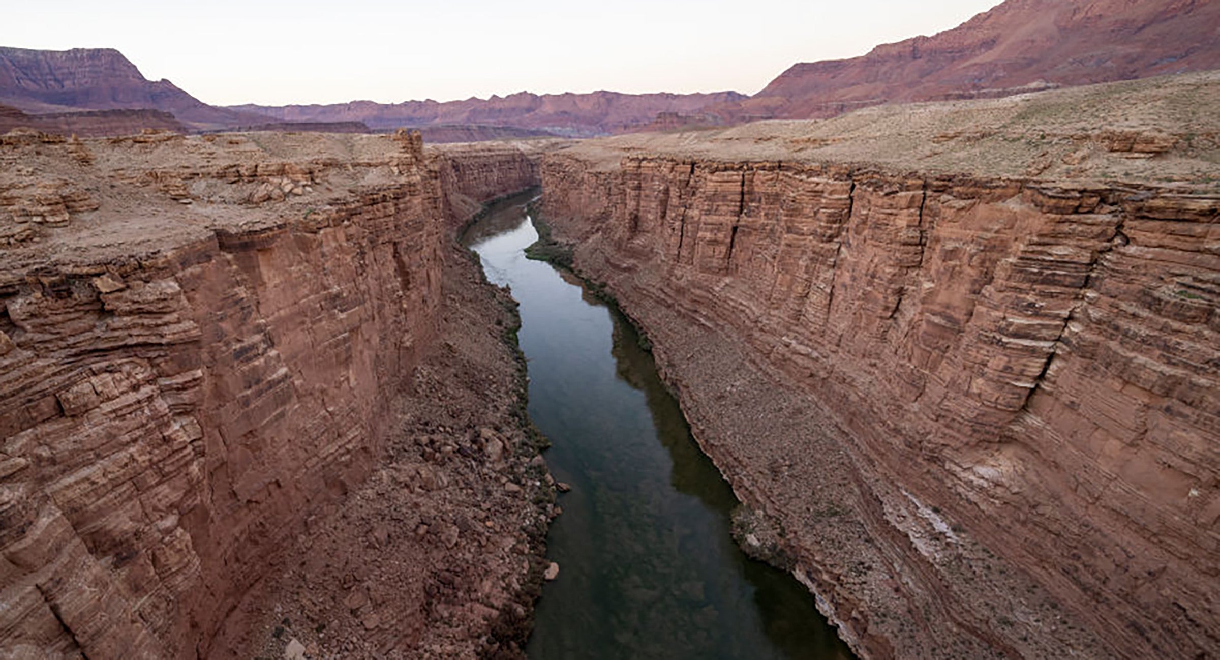 Penis Worms were found in the Bright Angel Formation in the Grand Canyon