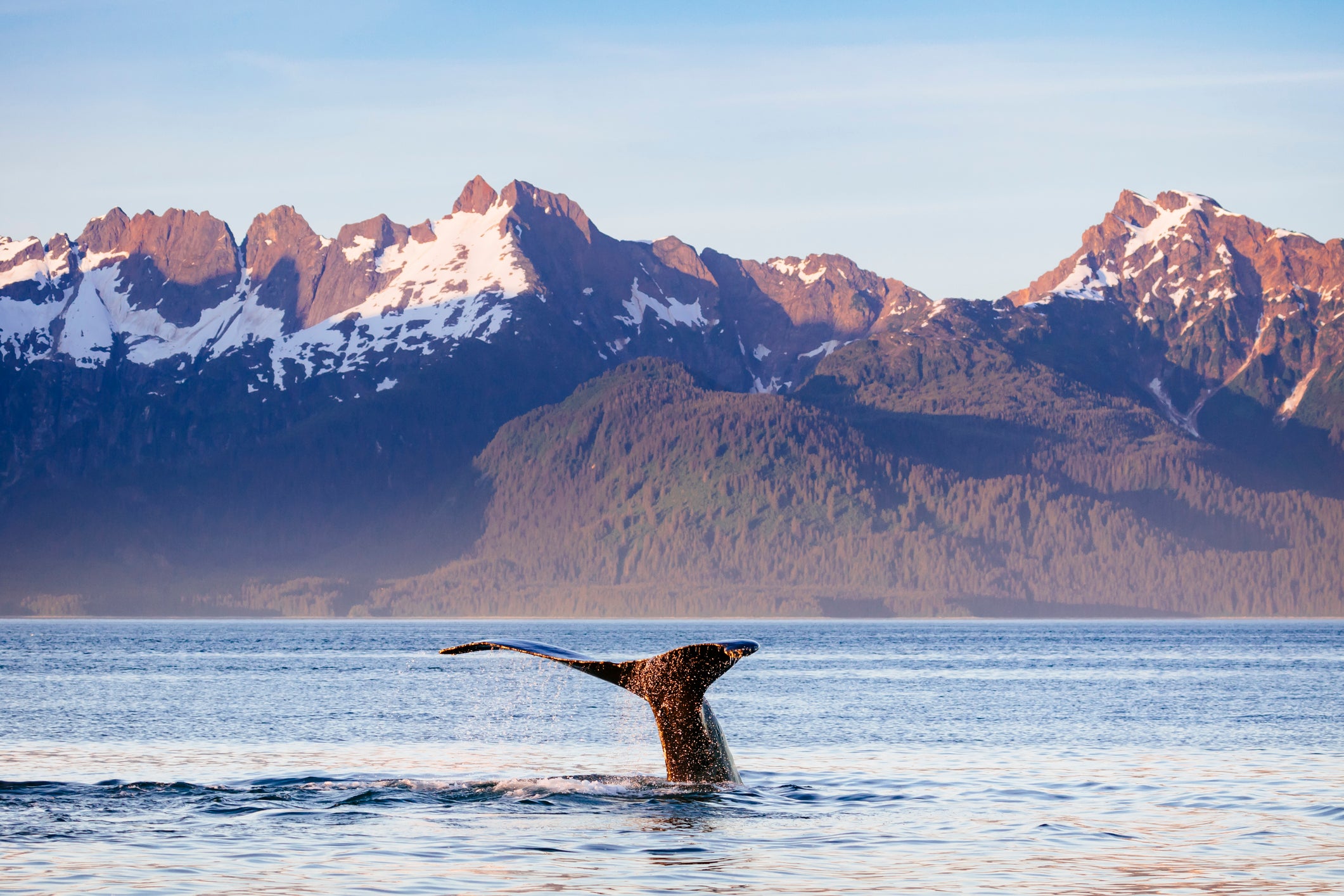 alaska brand new island