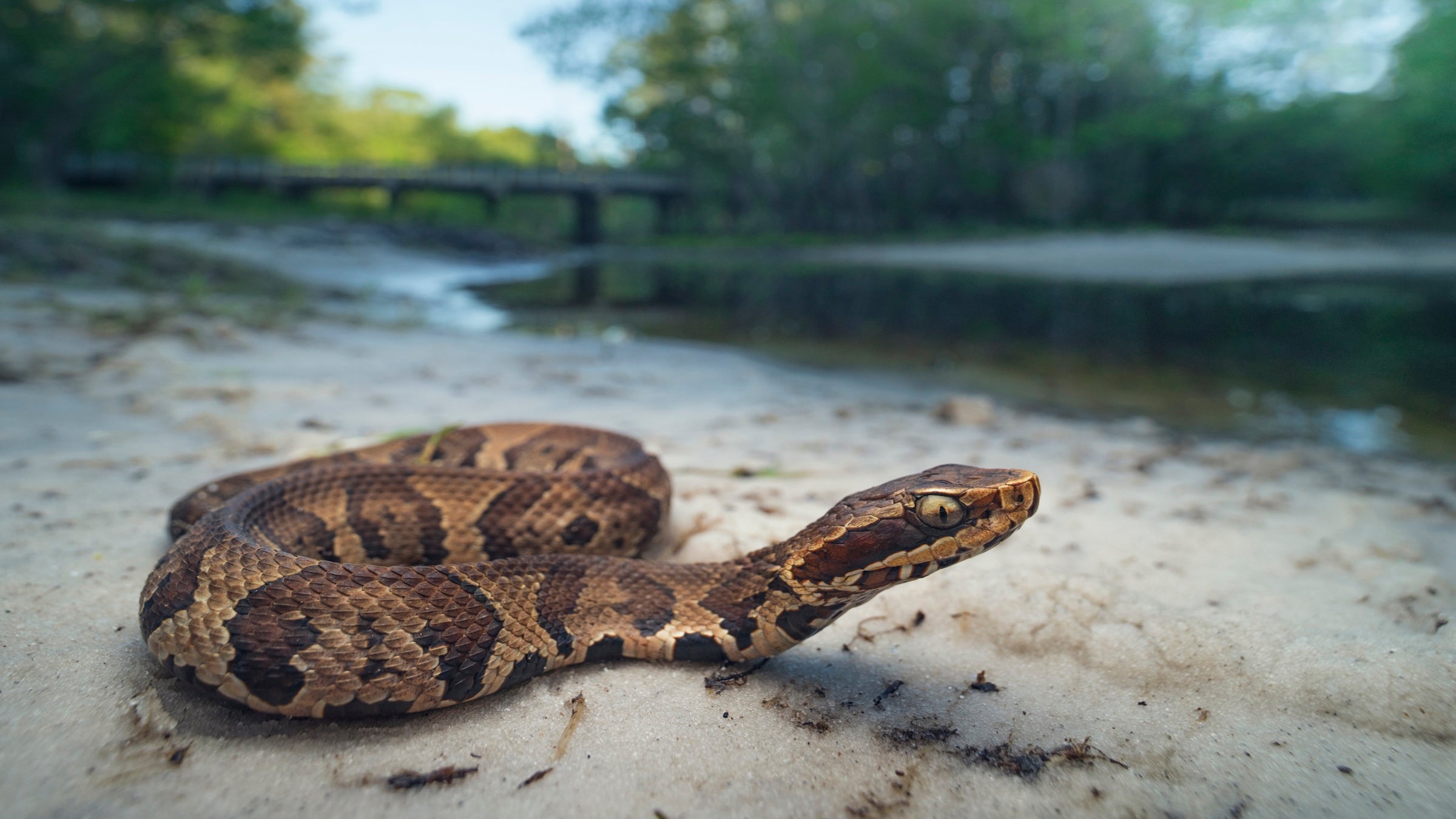 snake road closed illinois