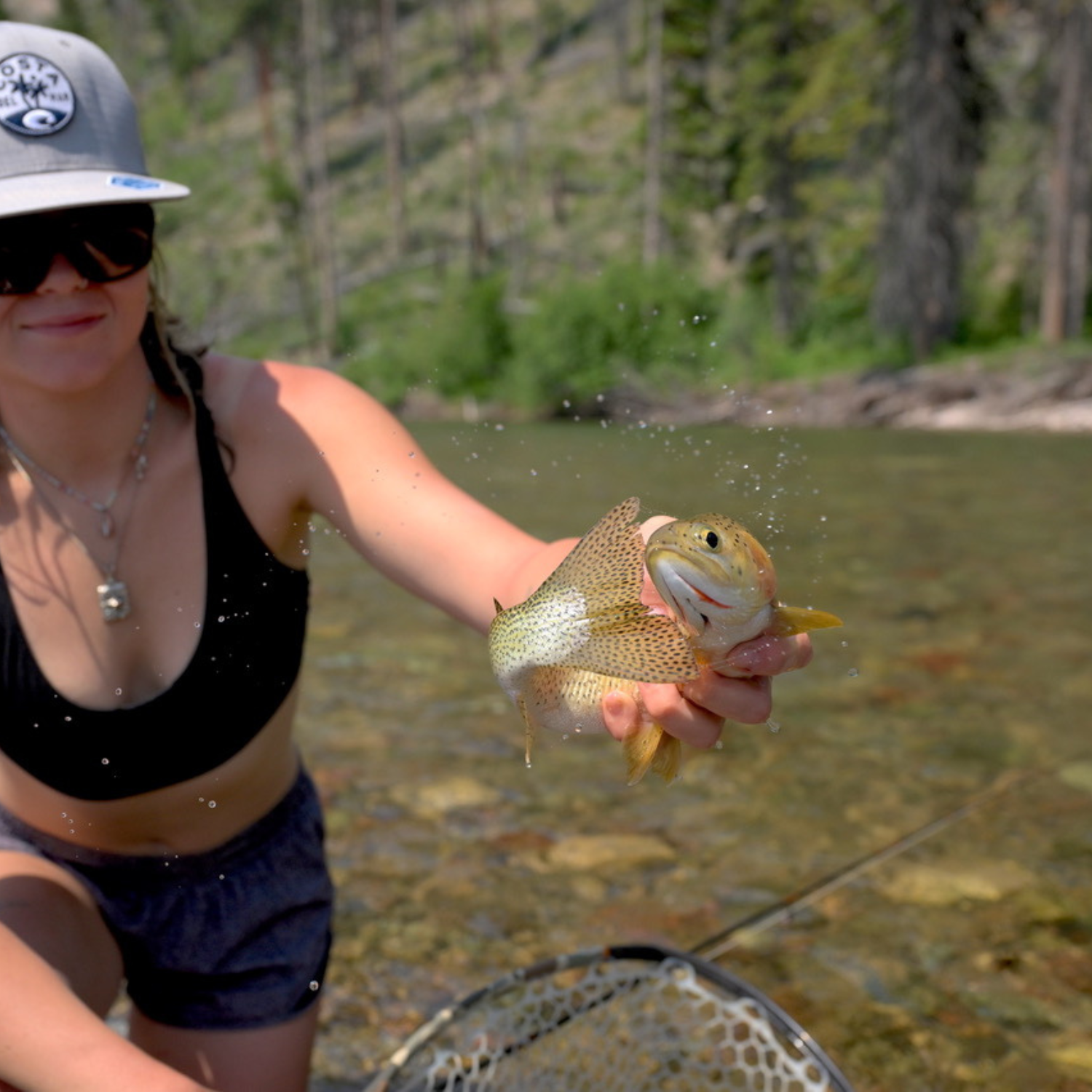 Fly Fishing Shops Near Me