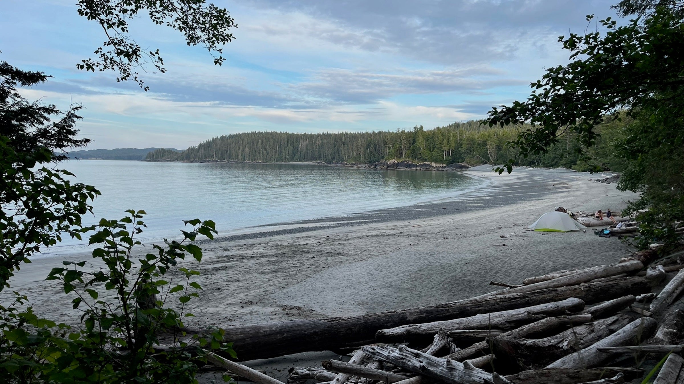 remote coast with woods