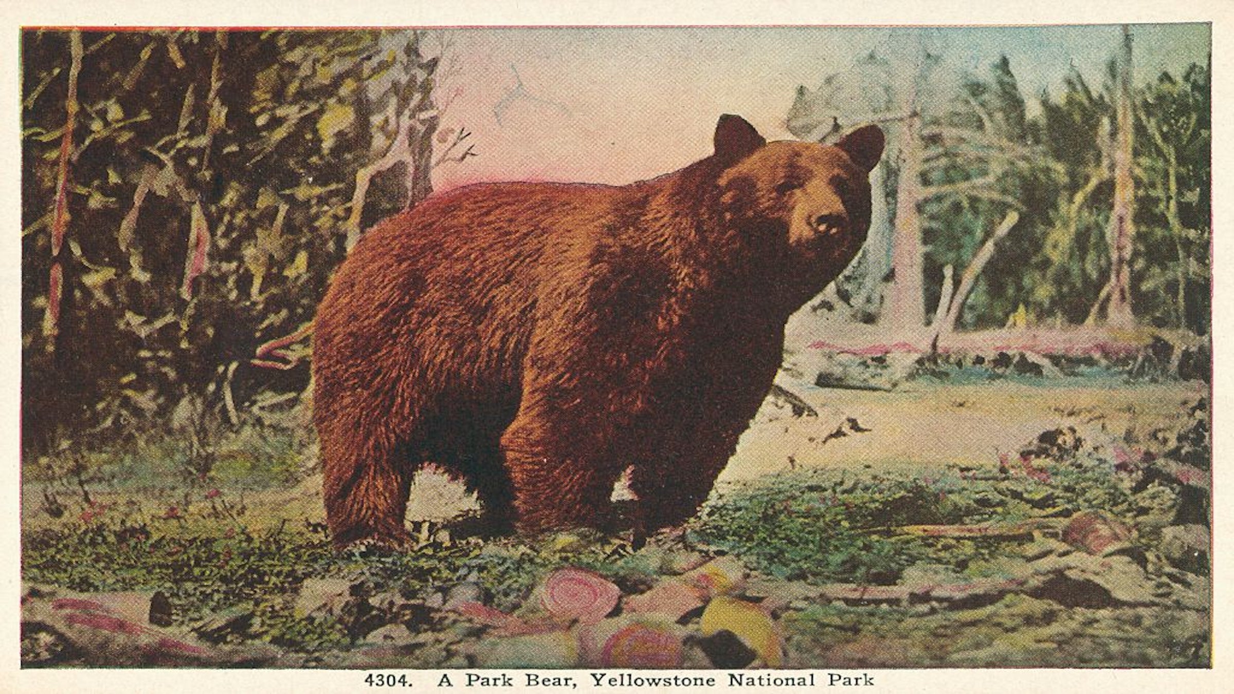 Smith Collection/Gado/Getty Images