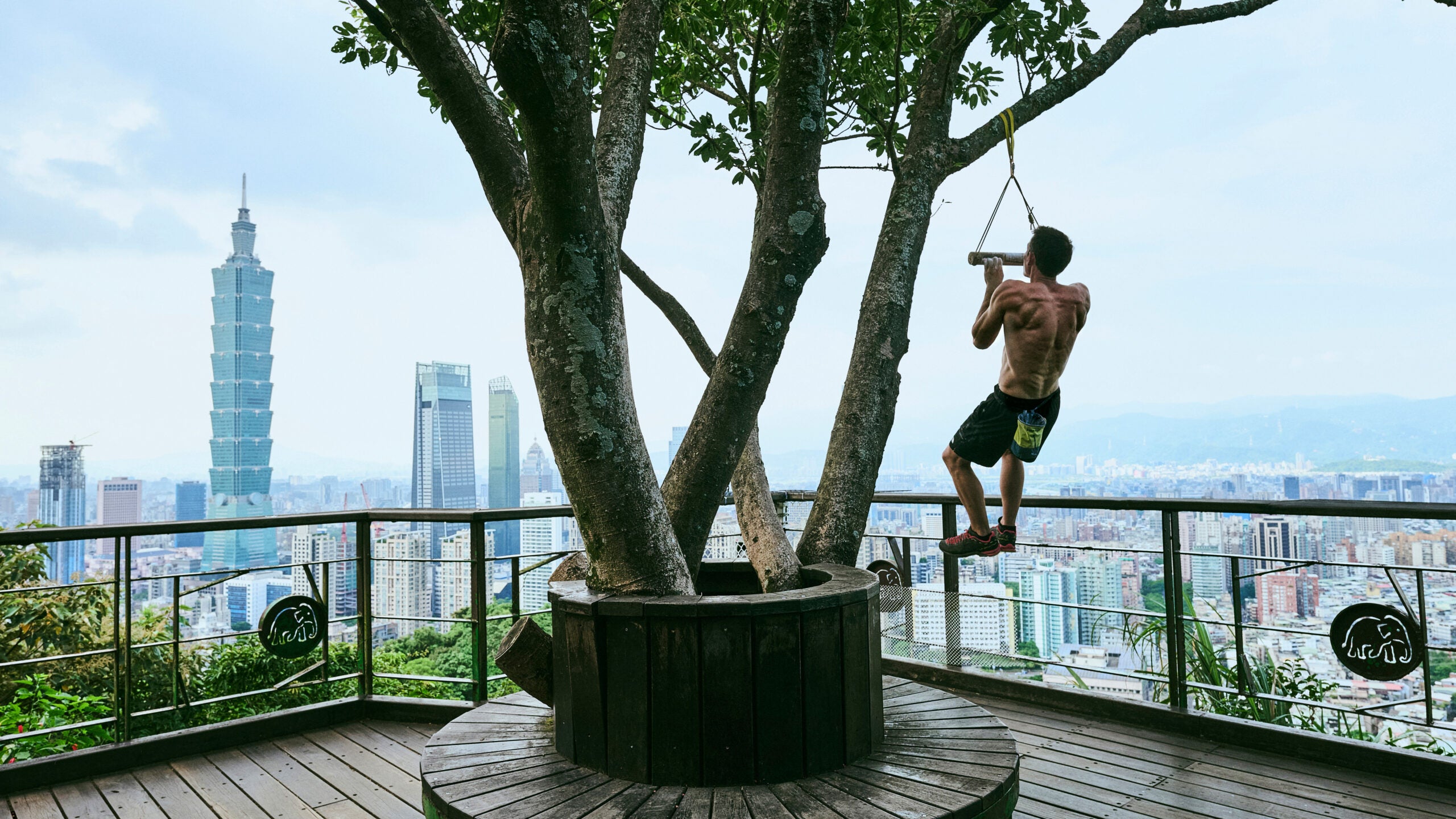 Honnold will ascend the building in January 2026