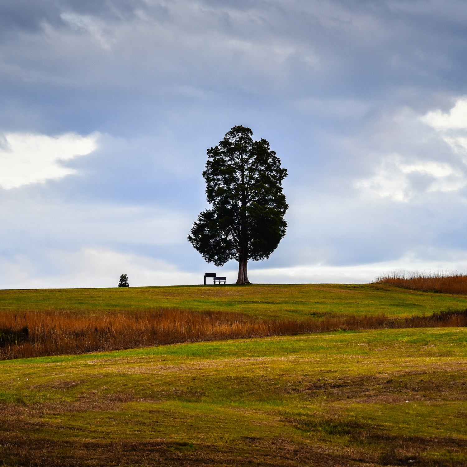 Manassas National Battlefield Park