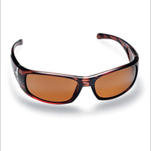Smith Optics Shelter - Sunglasses: Reviews