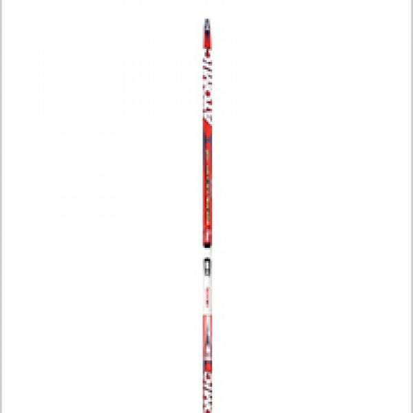Atomic Wordcup Skate FL Skis: Cross-Country skis Review