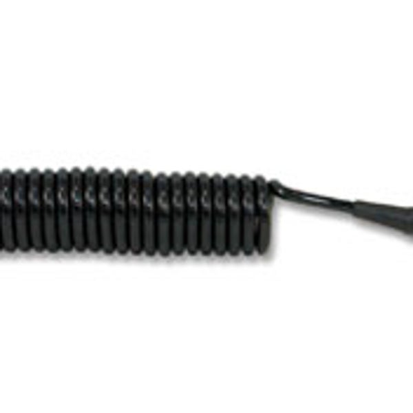 Dakine Coiled SUP Leash