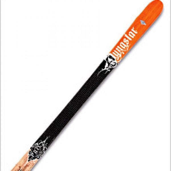 Dynastar Pro Rider Alpine Skis: Reviews