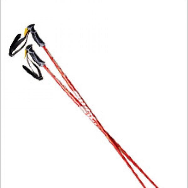 Swix Mach CT 1 Composite - Poles: Reviews