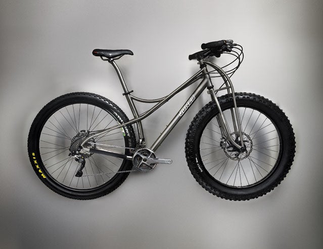 A titanium bike with swooping l