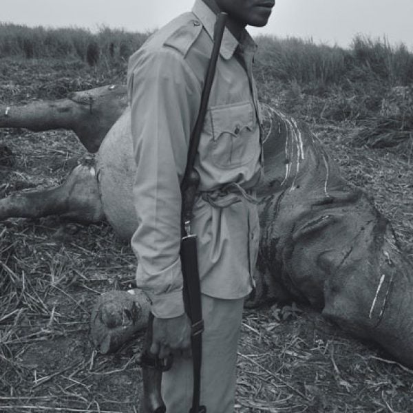 One of Kaziranga National Park's forest guards surveying a poached-rhino carcass.
