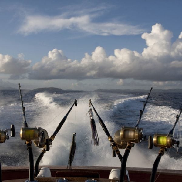Fishing Poles