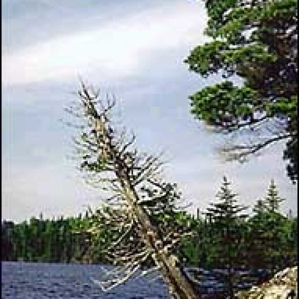 Full steam ahead: a portage-free peak at the Boundary Waters