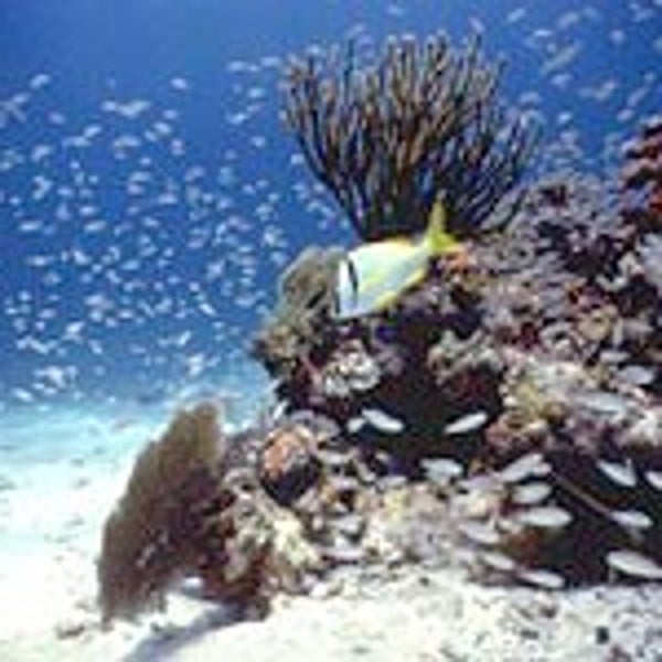 The local gang: a tourist-free look under Biscayne National Park