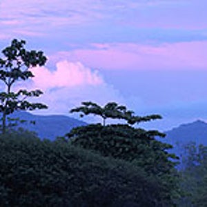 Pura vida: mountain forest in Costa Rica's Guanacaste province