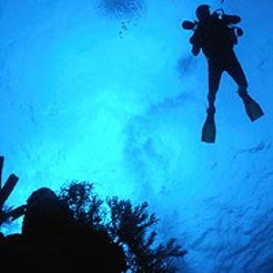 Feeling blue: a diver descends onto the reef off Belize