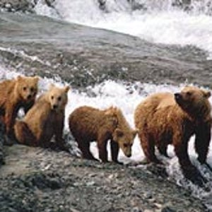 Family outing: mom and the kids head downstream
