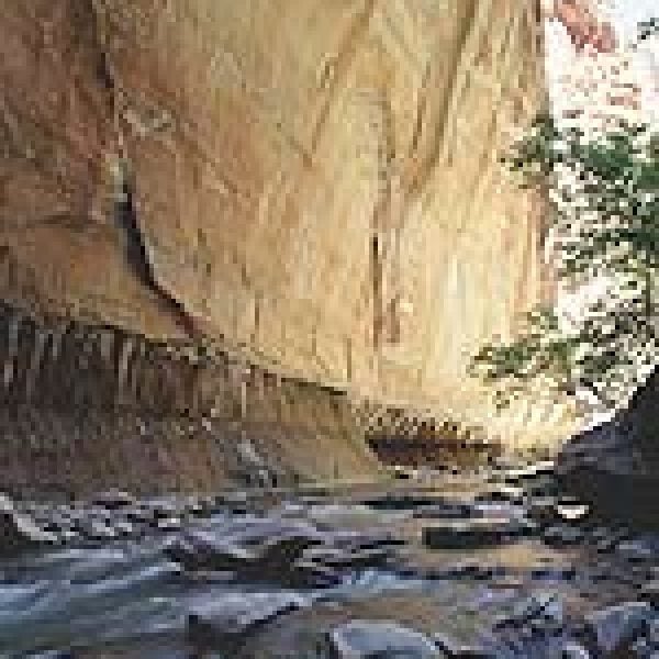 The Narrows in Zion National Park