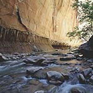 The Narrows in Zion National Park