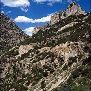 Monsoon hopeful: Arizona's Mount Lemmon