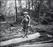Chad on a log jam
