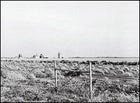 "Mute testimony to nature's grim fury": decaying North Dakota farms in the thirties and forties