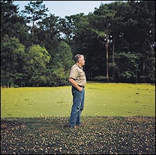 Schoeffler gazes at the Atchafalaya's Cove Swamp.