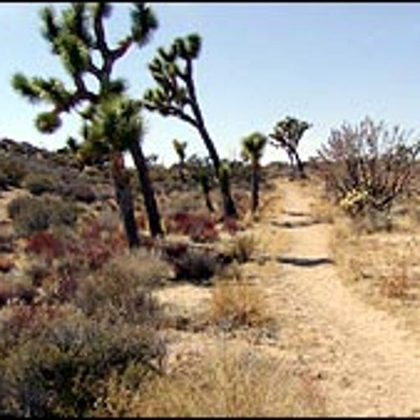View from the California Riding and Hiking Trail