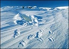 ANWR, conservation