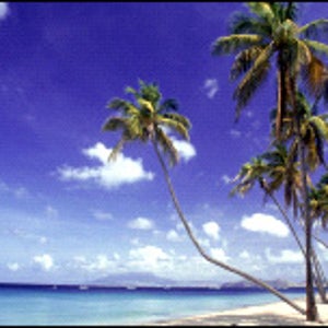 Nevis: Unhurried and unsung hero of the Caribbean.