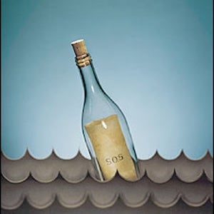 Wireless Communication in the Wilderness