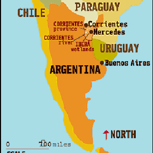 argentina, ibera swamps, piranhas, dorado