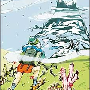 travel questions answered