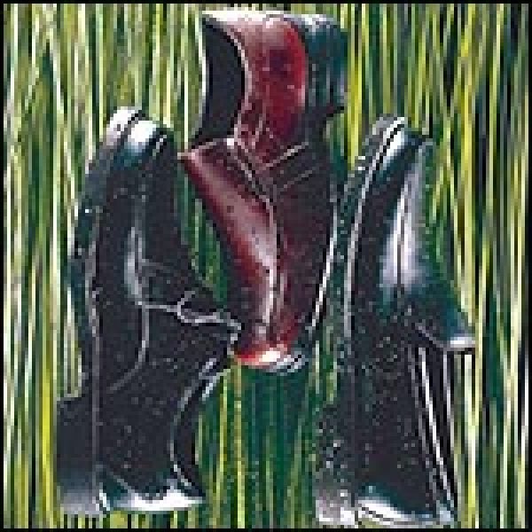 ROCKPORT's DRESSPORTS H20, BOSTONIAN NONSTOP PROGRESS, ROCKPORT DRESSPORTS H20 ROANE