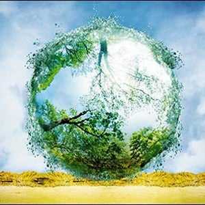 Photograph by Nitin Vadukul