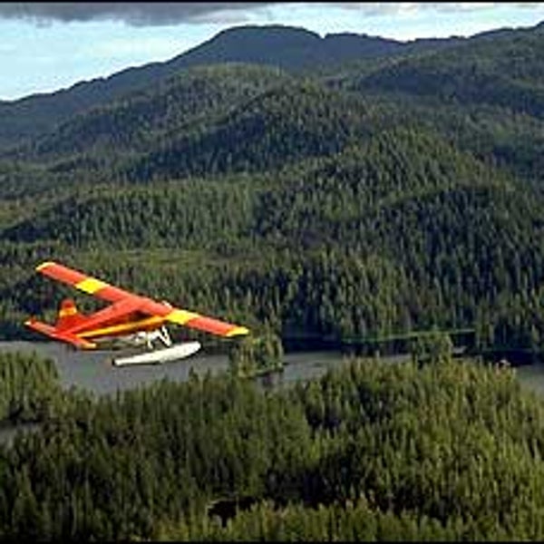 southeast alaska, misty fjords, glacier bay, grizzly