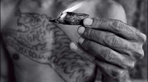 wildlife conservation, endangered species, poaching, poachers, environmental law, wildaid