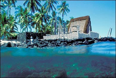 holoholo, hawaii, the big island