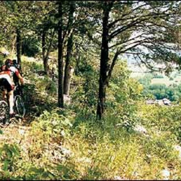 best American towns Mountain View, Arkansas
