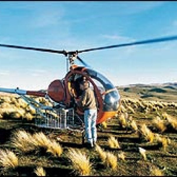 New Zealand