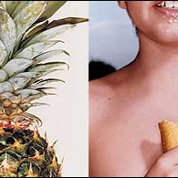food guide