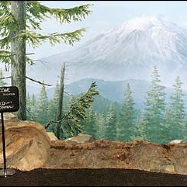 mount st helens