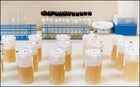 Drugs in Sports